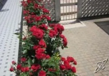 Hotel Jalisco Lido di Jesolo İtalya